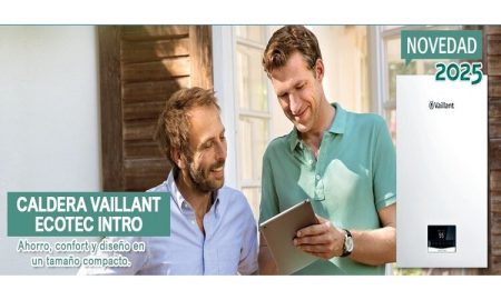Caldera Vaillant ecoTEC intro VMW 24/24 AS/2-1C precio