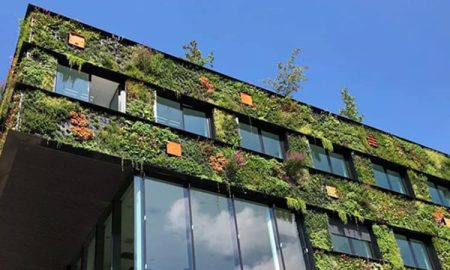 descarbonizacion en edificios nuevos
